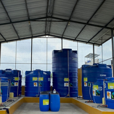 Fairtrade Premium-funded soil health project in Ecuador